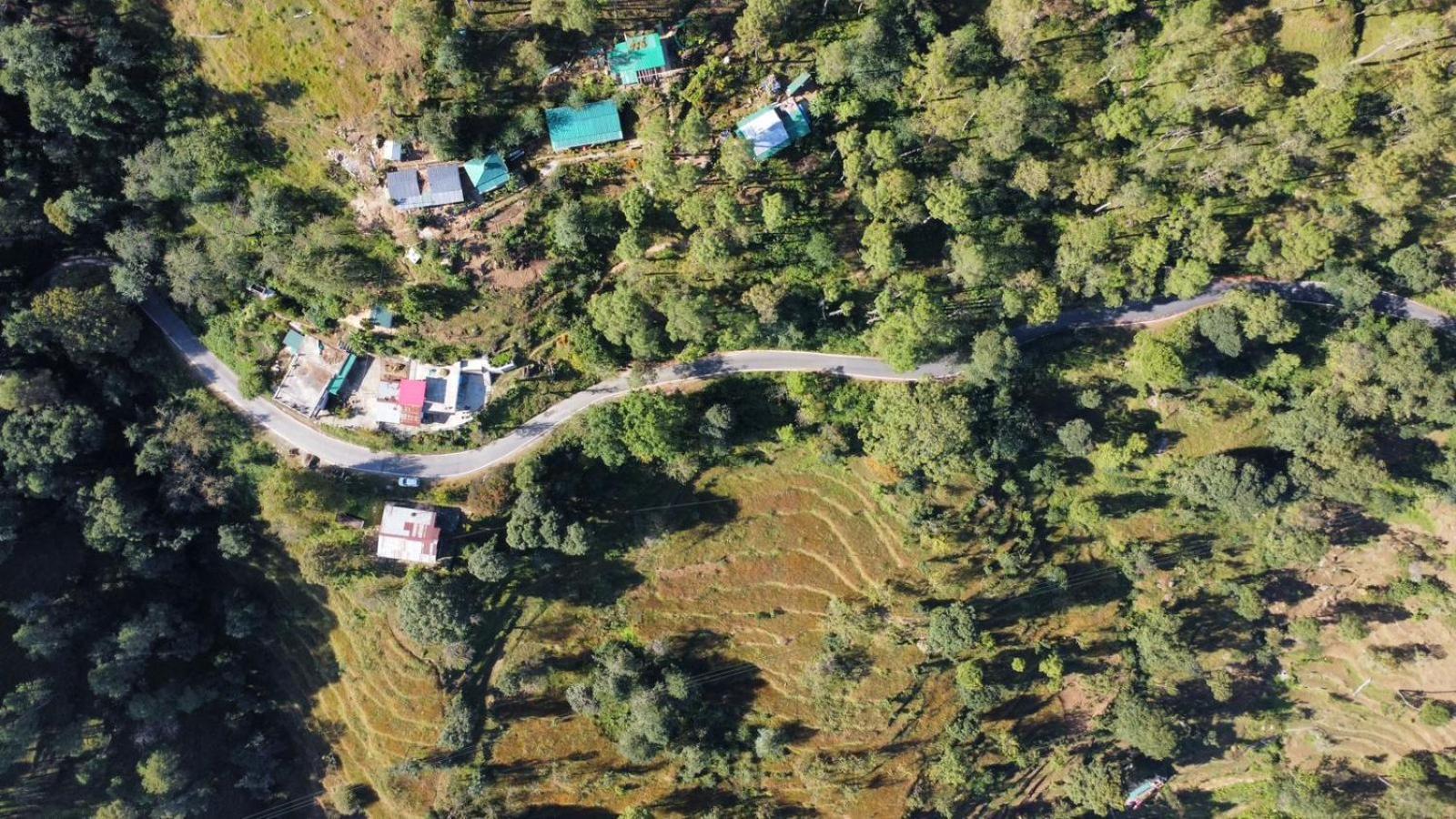 Zen Oaks Appartement Almora Buitenkant foto
