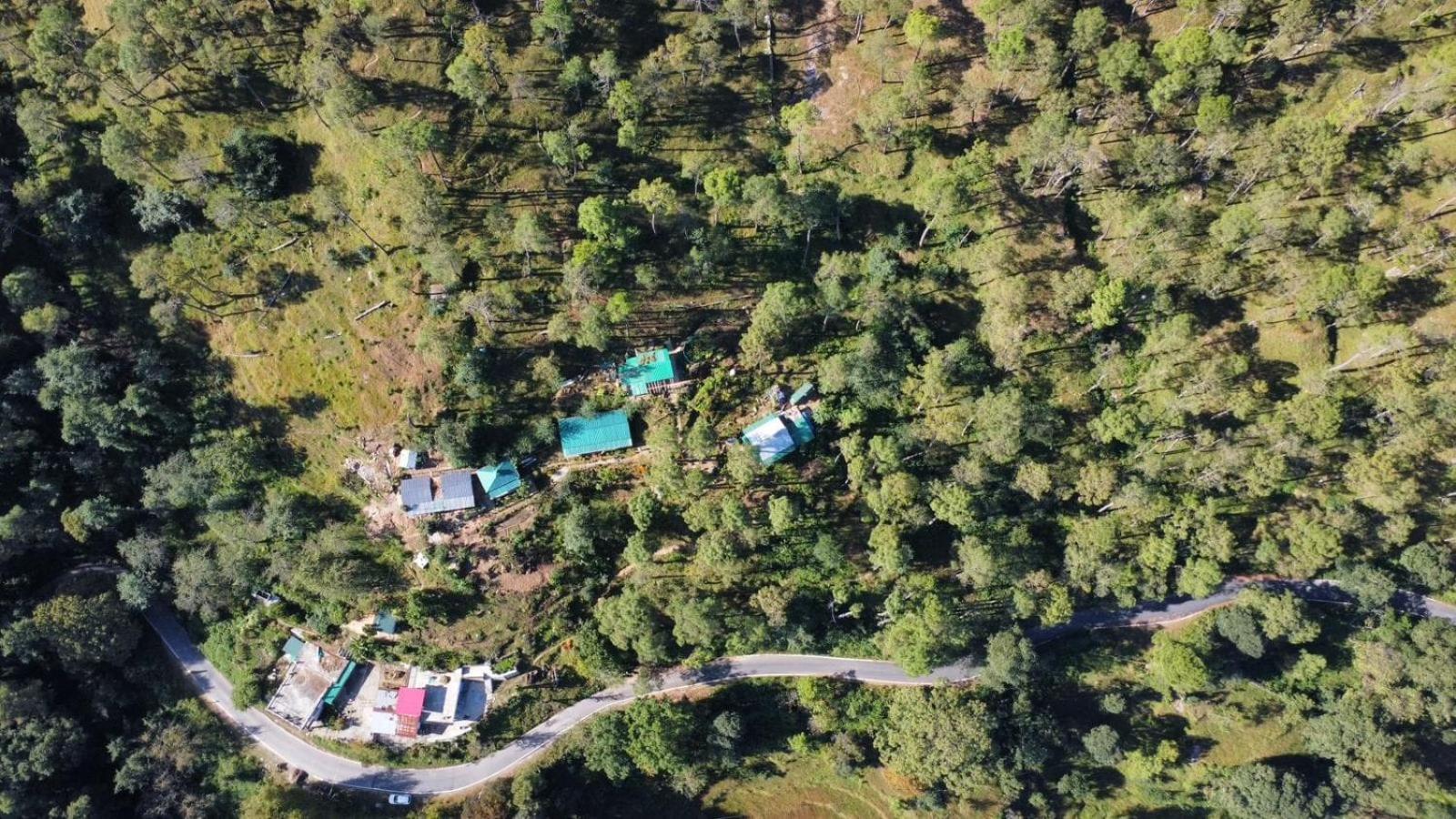 Zen Oaks Appartement Almora Buitenkant foto
